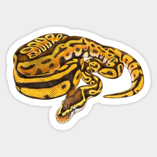 Ball Python Sticker